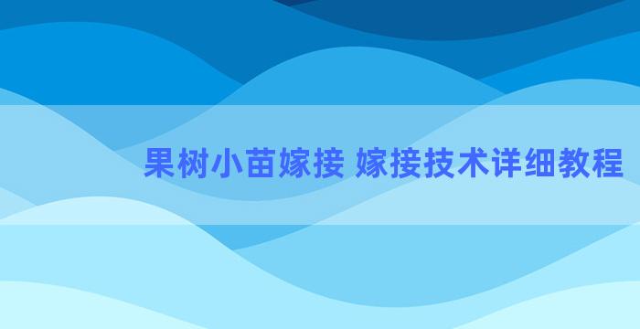 果树小苗嫁接 嫁接技术详细教程